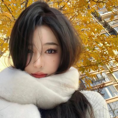 翼龙